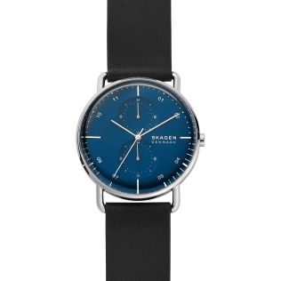 Skagen skw6449 online