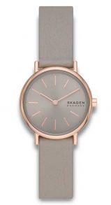 Skagen Signatur Lille SKW3060